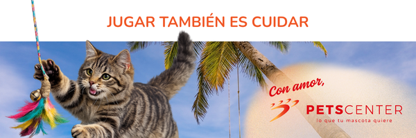 Lee más sobre el artículo Jugar también es cuidar