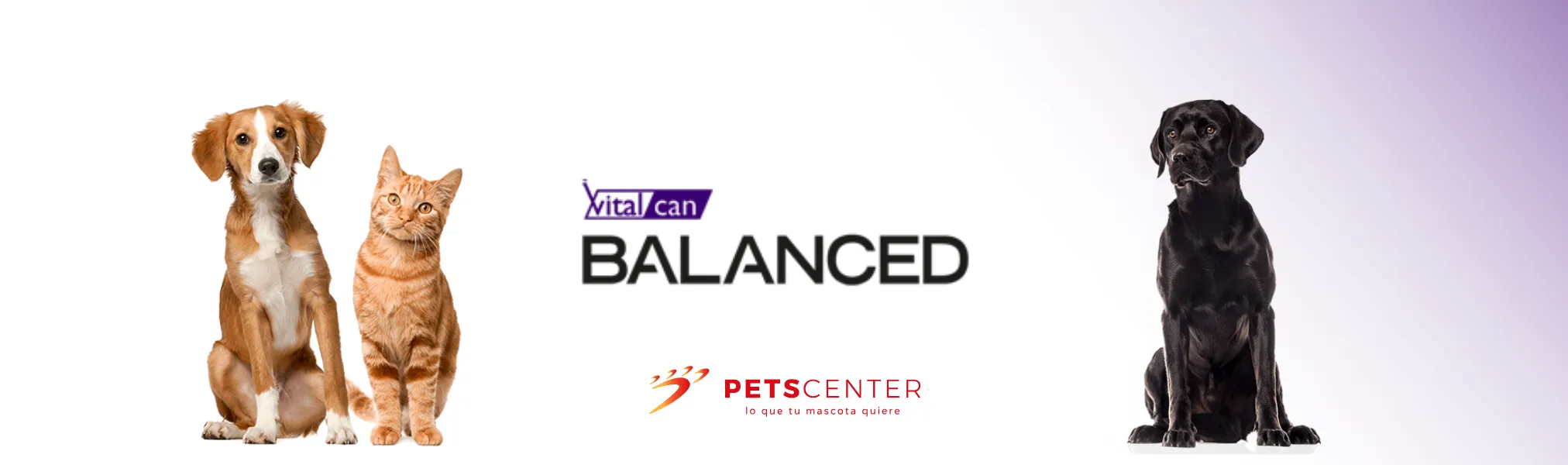 Vitalcan Balanced Marca Disponible en PETS CENTER