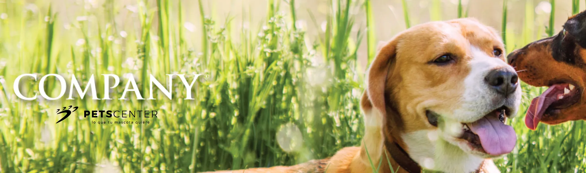 Company Marca Disponible en PETS CENTER