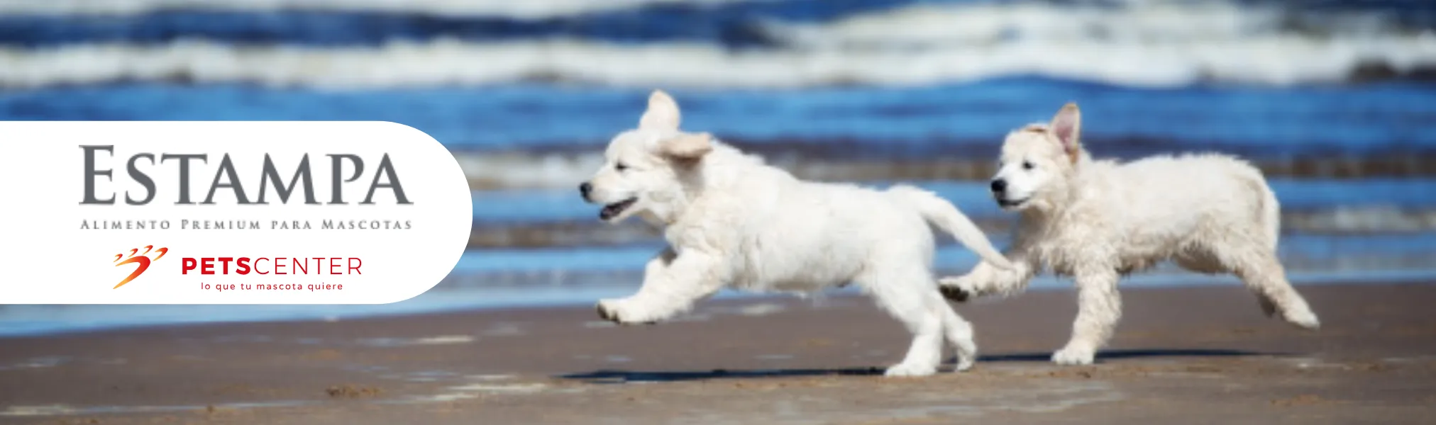 Estampa Marca Disponible en PETS CENTER