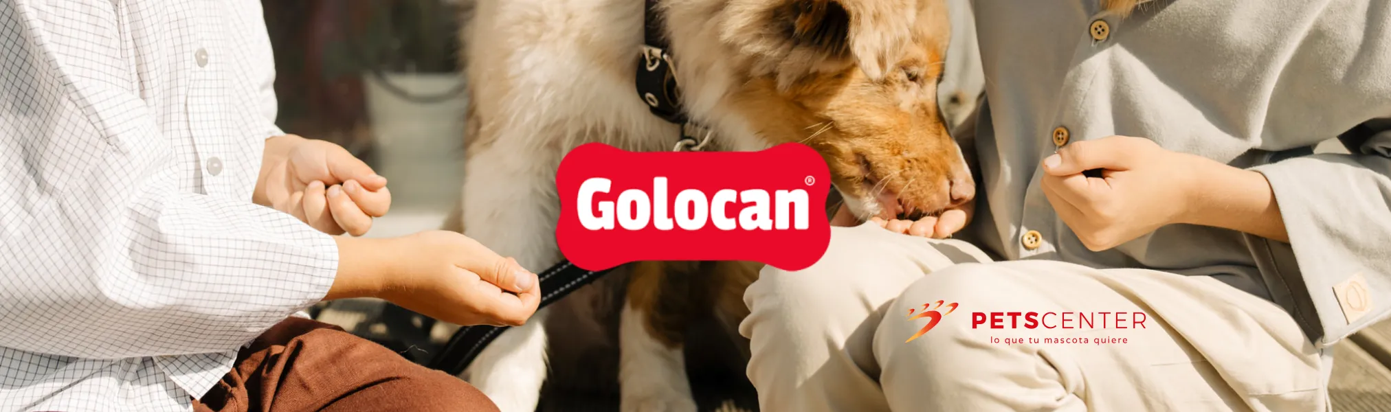 Golocan Marca Disponible en PETS CENTER