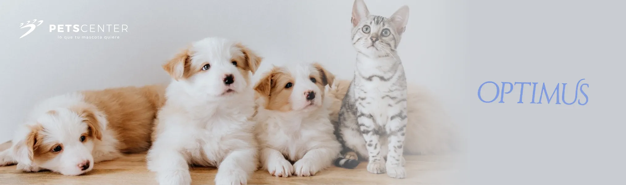 Optimus Marca Disponible en PETS CENTER