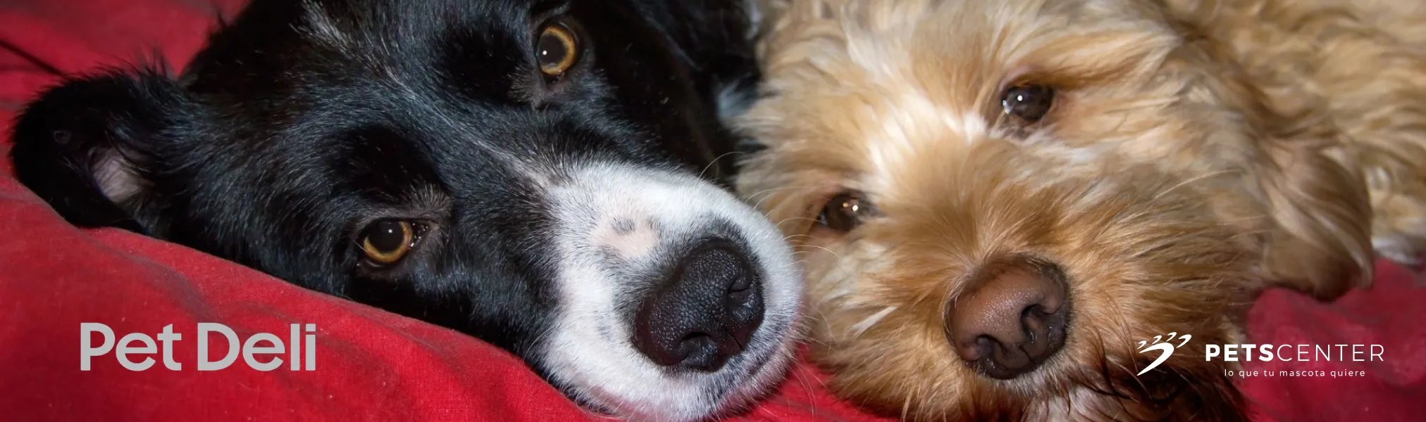 Pet Deli Marca Disponible en PETS CENTER
