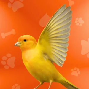 PETS CENTER Categoría Aves