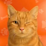 PETS CENTER Categoría Gatos