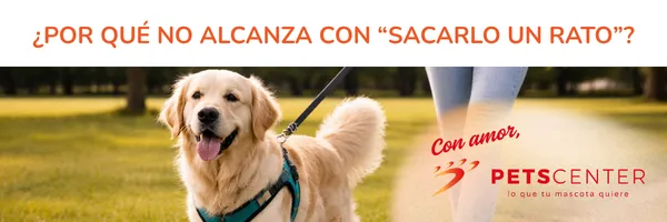 Lee más sobre el artículo Paseos inteligentes: por qué no alcanza con “sacarlo un rato”