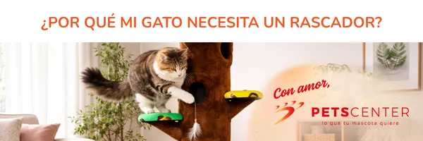 Lee más sobre el artículo ¿Por qué los gatos necesitan rascadores? (y cómo elegir uno)