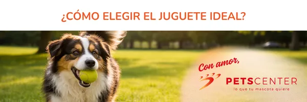 Lee más sobre el artículo Cómo elegir el juguete ideal para tu perro (y por qué no todos sirven)