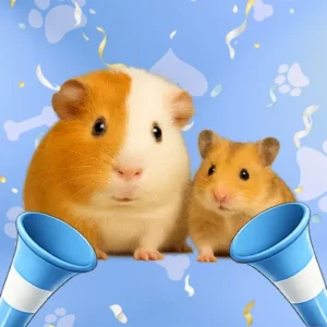 PETS CENTER Categoría Roedores