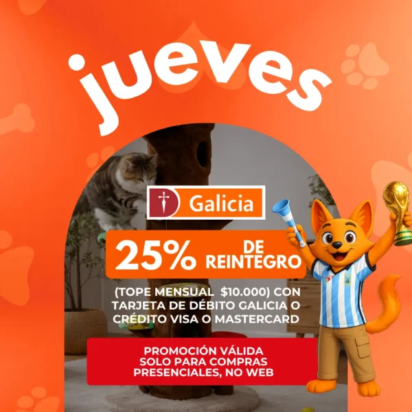 25% de reintegro con tope mensual de $10.000 pagando con tarjetas del Banco Galicia en un pago
