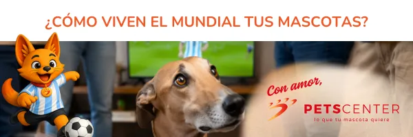 Lee más sobre el artículo ¿Cómo viven el Mundial tus mascotas?