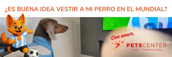Lee más sobre el artículo ¿Es buena idea vestir a mi mascota para el Mundial?