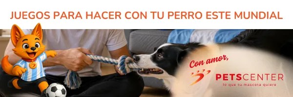 Lee más sobre el artículo Juegos para hacer con tu mascota en el Mundial