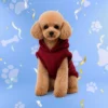 Ropa para perro disponible en PETS CENTER