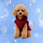 Ropa para perro disponible en PETS CENTER