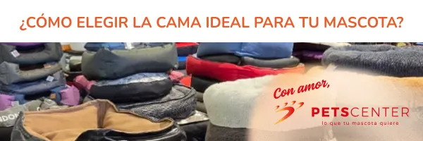 Cómo elegir la cama ideal para tu mascota