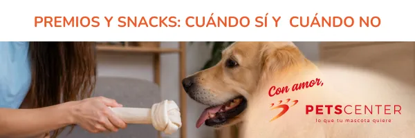 Lee más sobre el artículo Premios y snacks: cuándo sí, cuándo no y cómo elegirlos