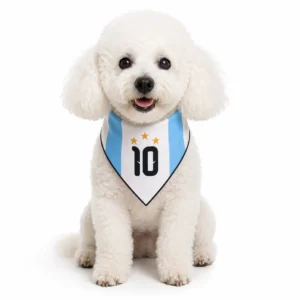Ropita Pañoleta de Argentina Bandana del Mundial para Perro | Talle S y M