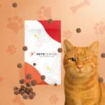 Alimento para gato disponible en PETS CENTER