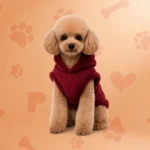 Ropa para perro disponible en PETS CENTER