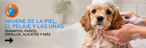 Todo para bañar a tu perro o gato disponible en PETS CENTER