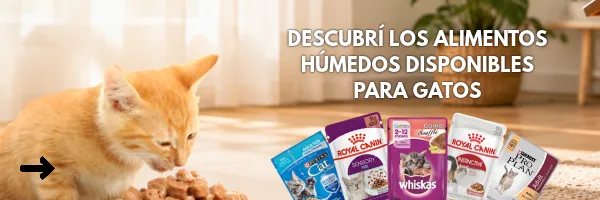 Alimento húmedo disponible en PETS CENTER
